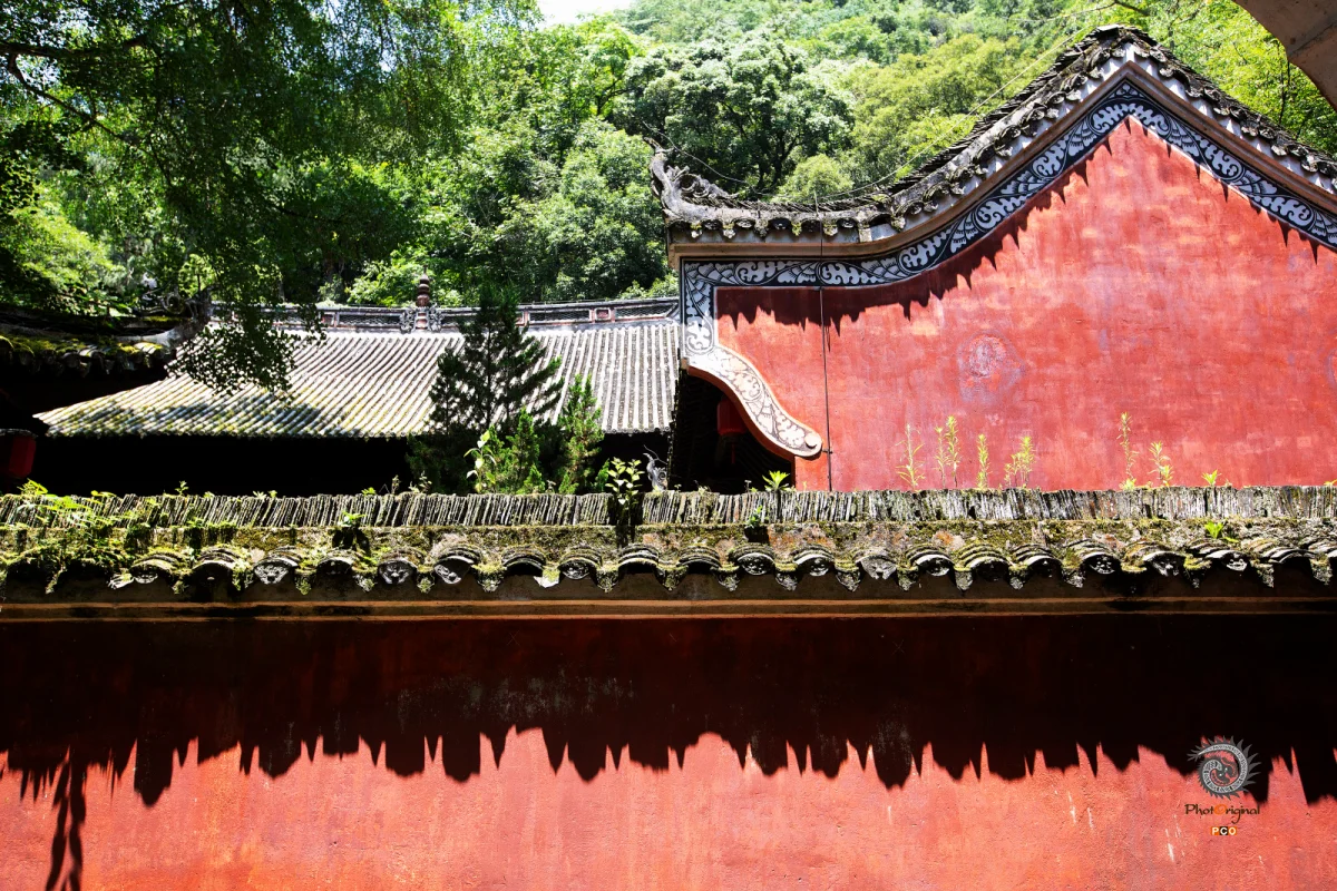 2025多彩贵州·第十八届中国原生态国际摄影大展 · 朱进 的图集