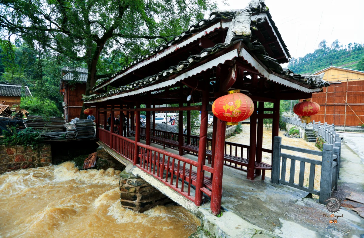 2023多彩贵州·第十六届中国原生态国际摄影大展 · 独立寒秋 的图集