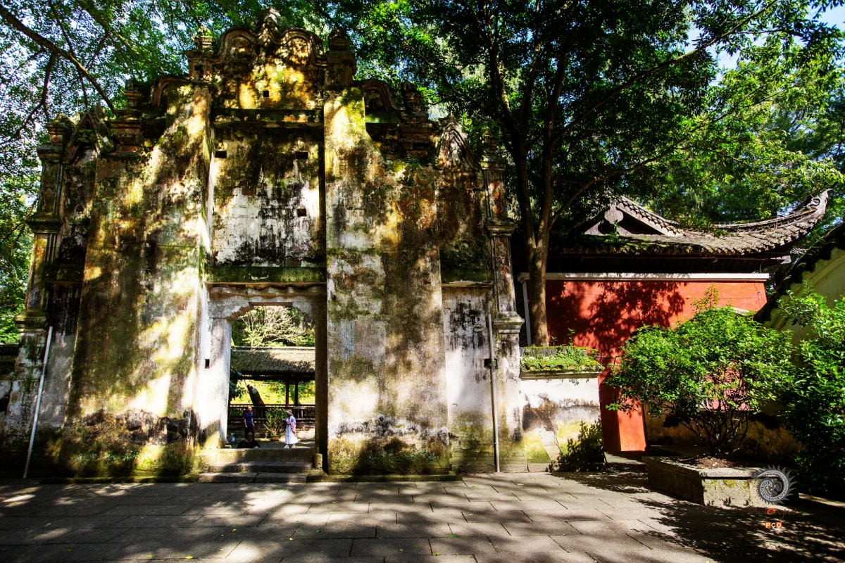 2025多彩贵州·第十八届中国原生态国际摄影大展 · 朱进 的图集