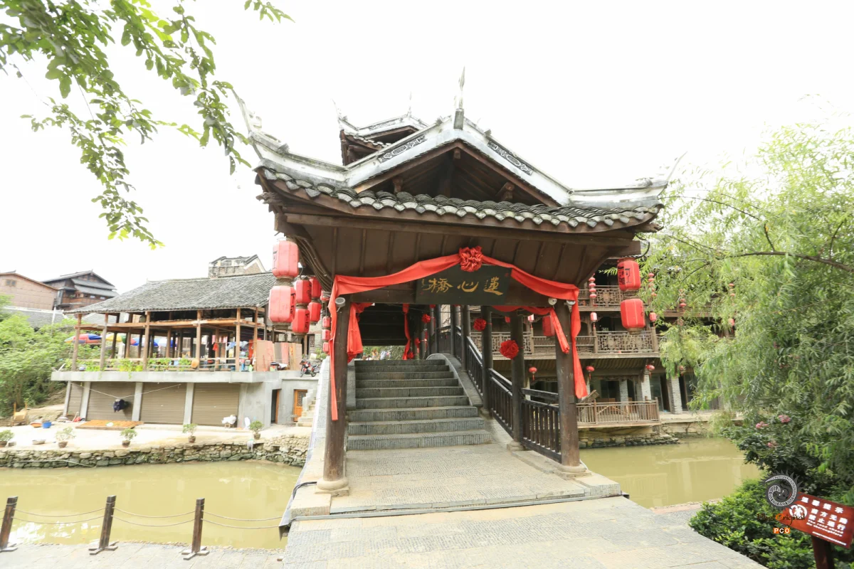 2023多彩贵州·第十六届中国原生态国际摄影大展 · 独立寒秋 的图集