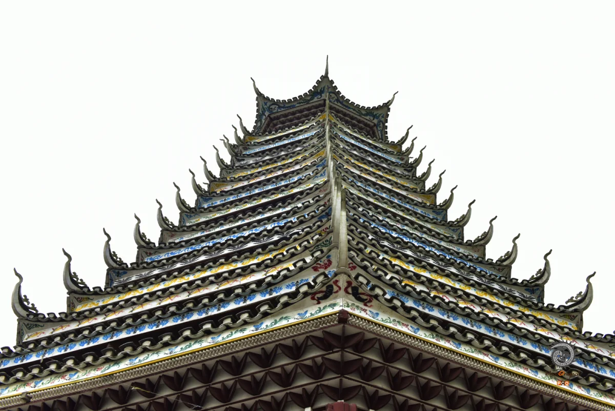 多彩贵州·第十四届中国原生态国际摄影大展 · 紫蝶视角 的图集