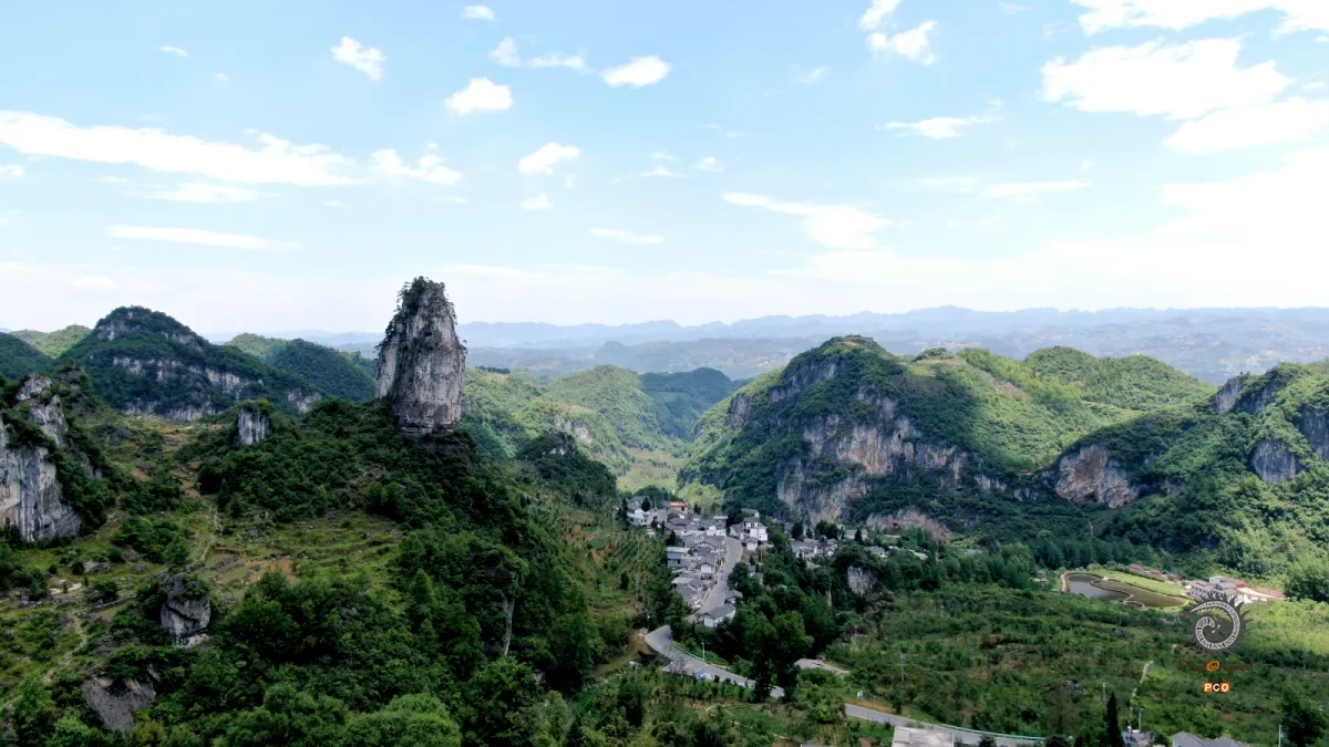 多彩贵州·第十四届中国原生态国际摄影大展 · 流浪枫叶 的图集