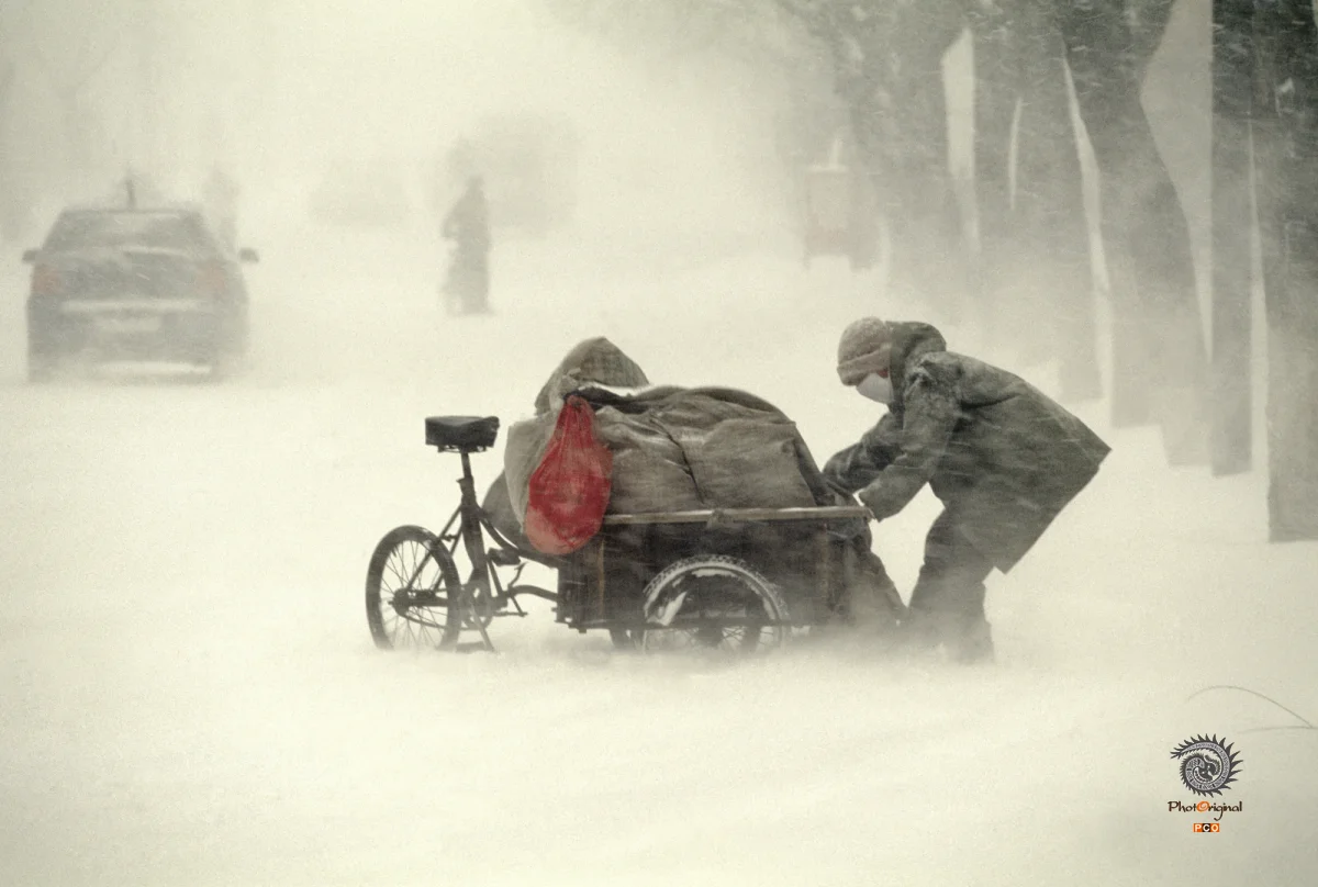 《雪野》