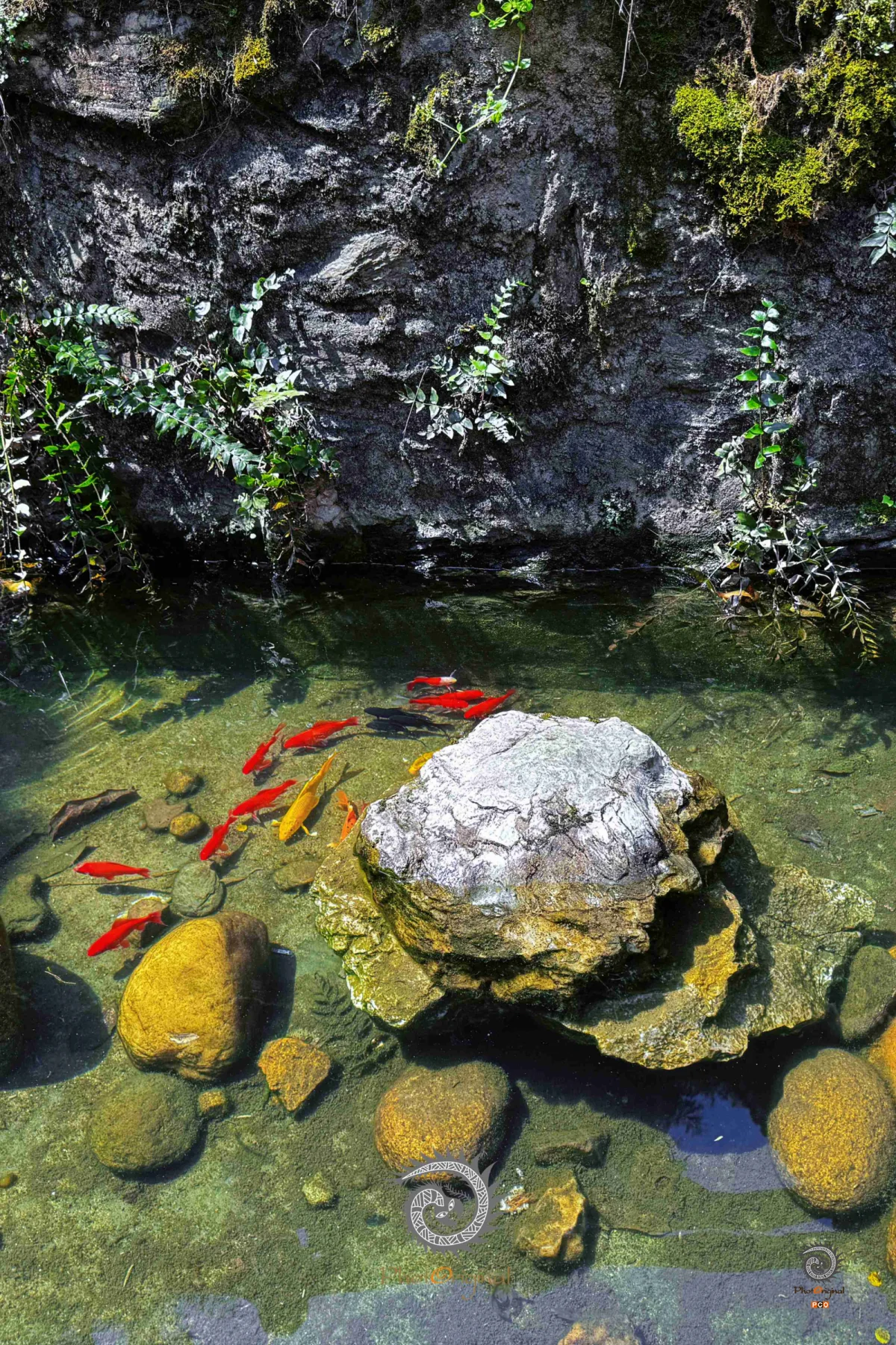 2024多彩贵州·第十七届中国原生态国际摄影大展展览 · 摄影大展官方客服 的图集