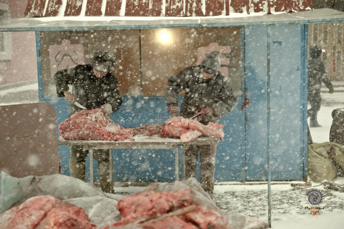 《雪野》