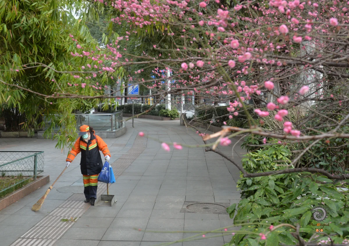 《贵阳市疫情防控》