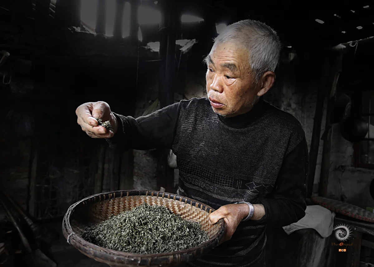 多彩贵州·第十四届中国原生态国际摄影大展 · 刘青娟 的图集