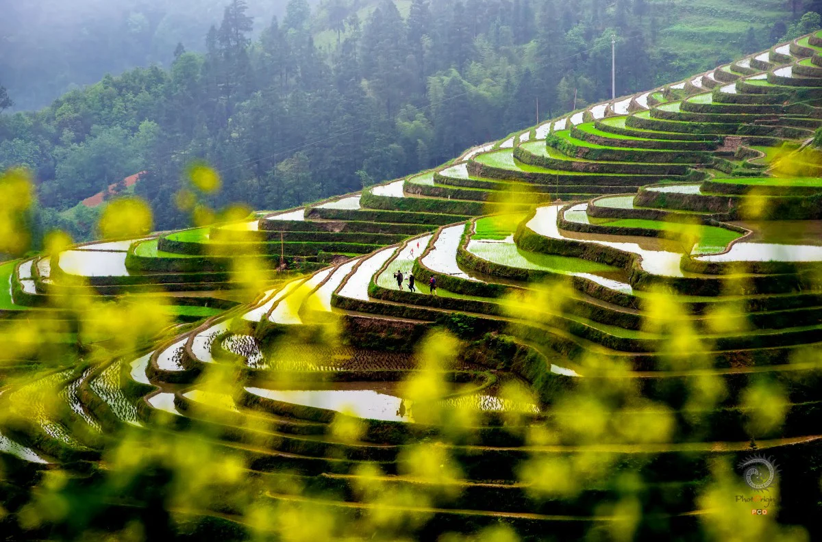 多彩贵州·第十四届中国原生态国际摄影大展 · 图磨 的图集