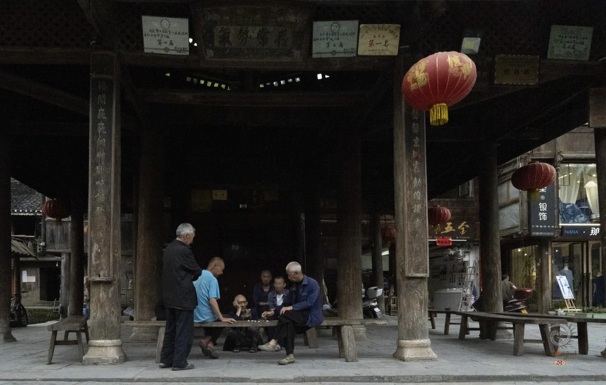 多彩贵州·第十四届中国原生态国际摄影大展 · 梅花三弄 的图集