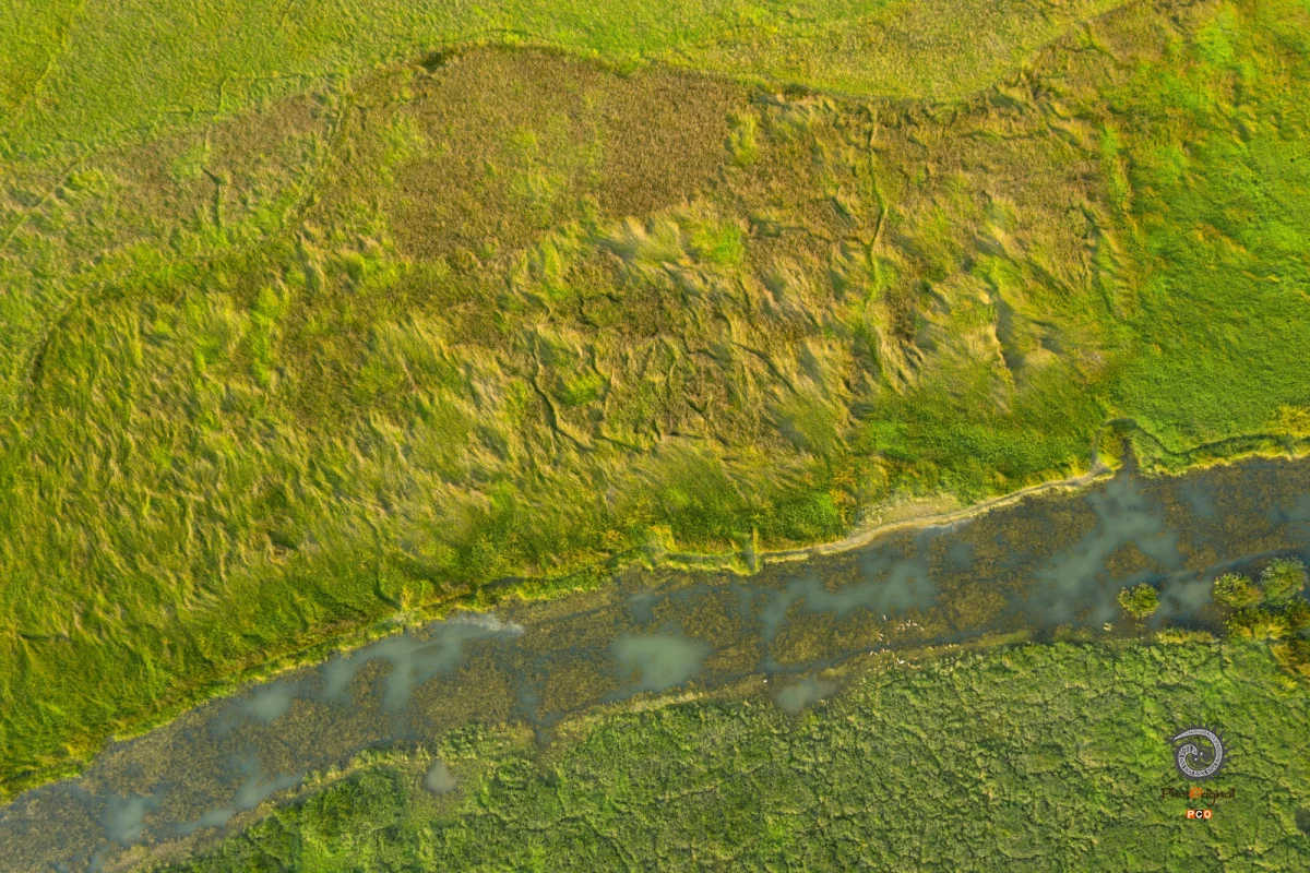 多彩贵州·第十四届中国原生态国际摄影大展 · 小溪 的图集
