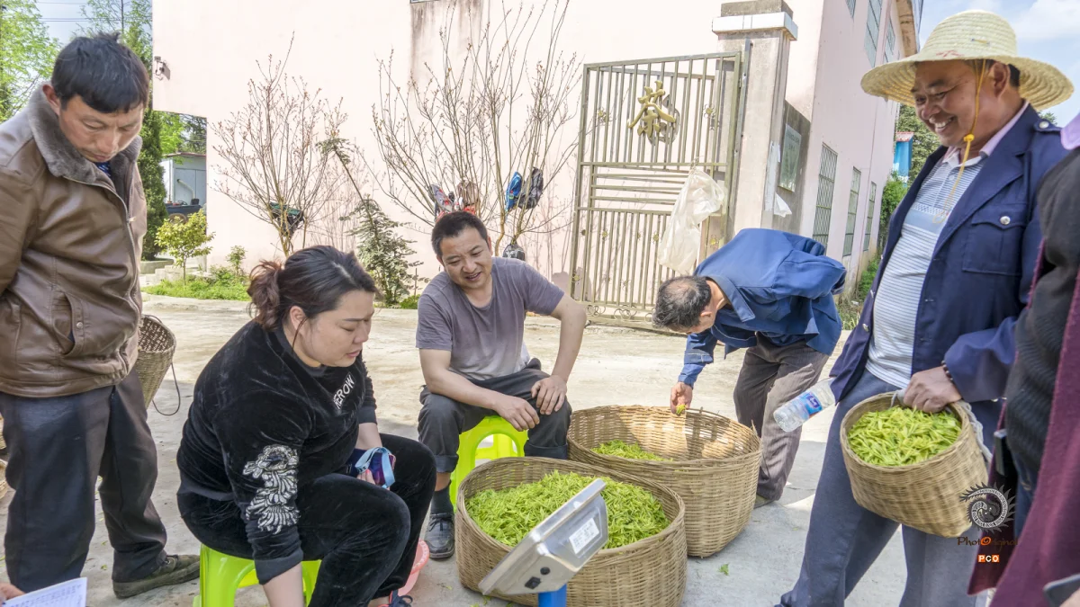 多彩贵州·第十四届中国原生态国际摄影大展 · 乌江摄影 的图集