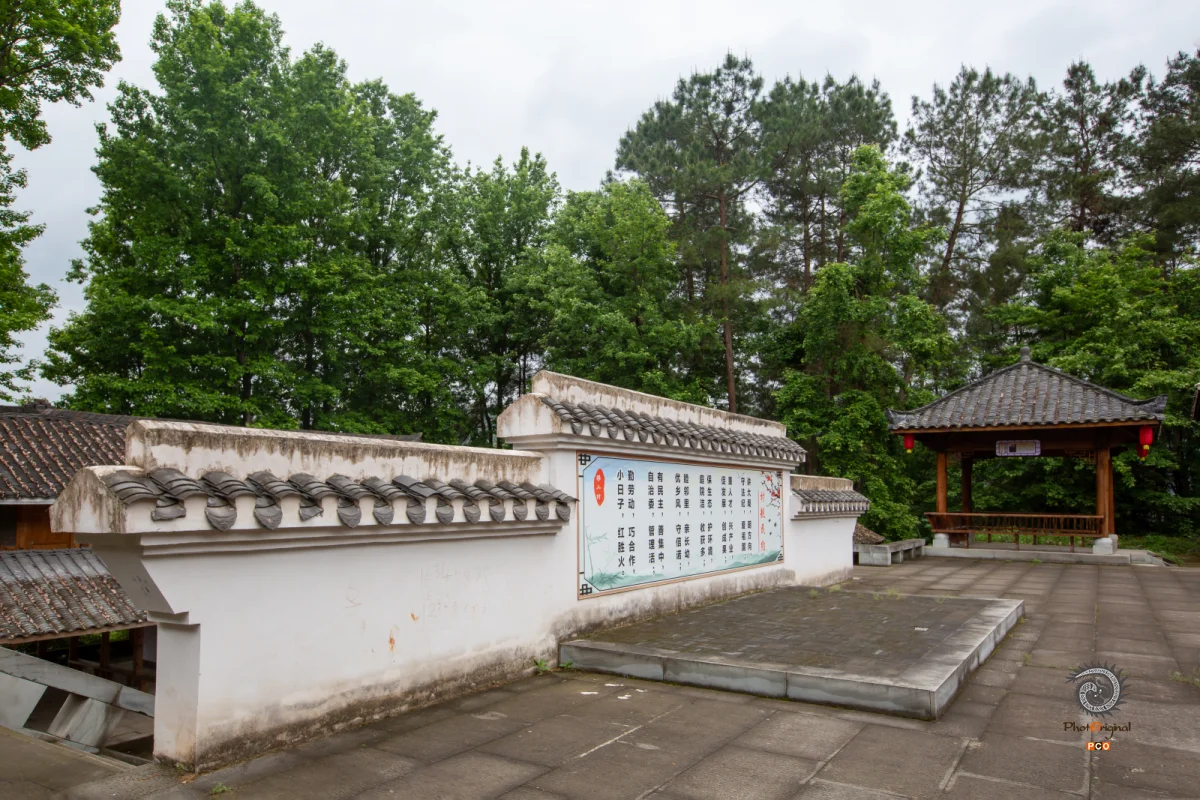 ​2024多彩贵州·第十七届中国原生态国际摄影大展 · 朱进 的图集