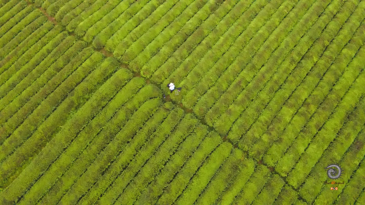 多彩贵州·第十四届中国原生态国际摄影大展 · 方映nic 的图集