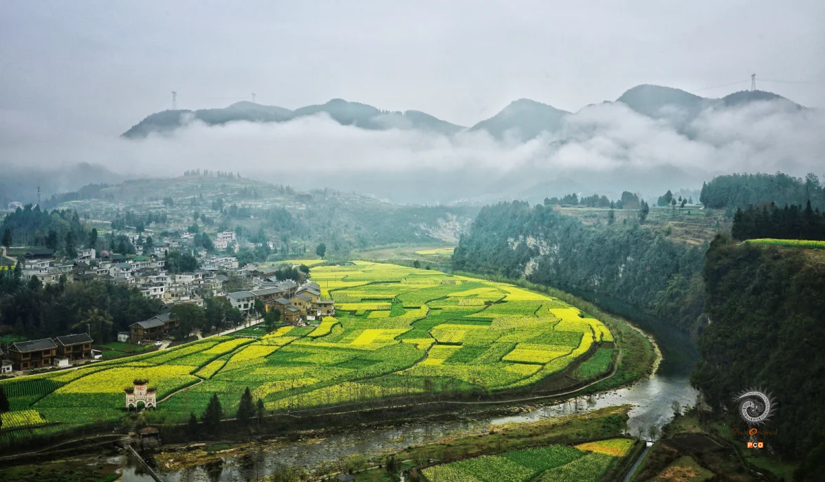 多彩贵州·第十四届中国原生态国际摄影大展 · 高山一棵松 的图集