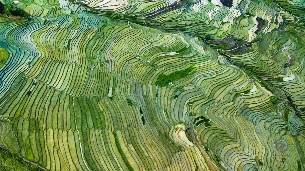 多彩贵州·第十四届中国原生态国际摄影大展 · 照相的胡子哥 的图集