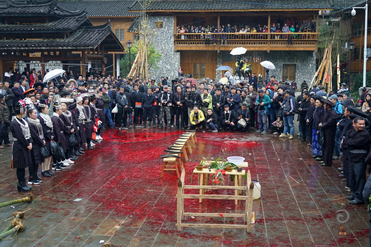 多彩贵州·第十四届中国原生态国际摄影大展 · 郑波 的图集