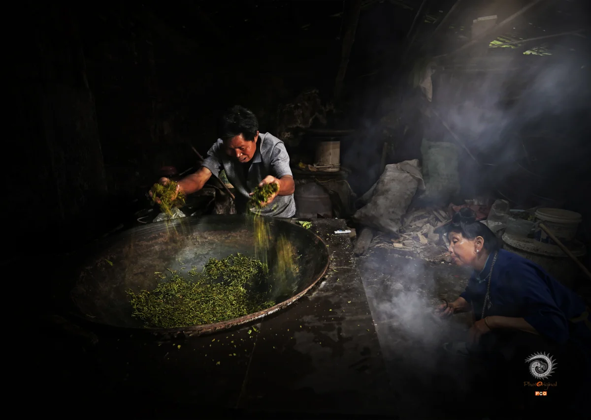 传统制茶