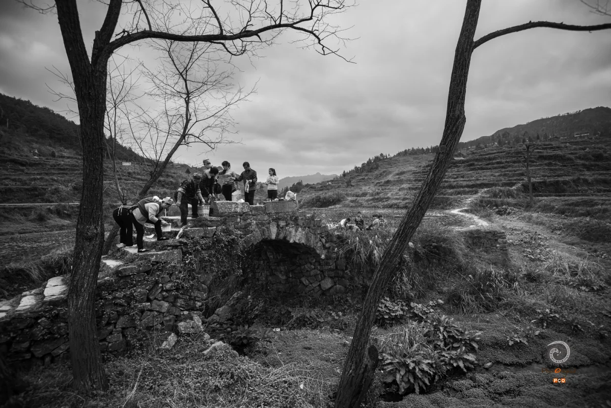 2023多彩贵州·第十六届中国原生态国际摄影大展 · 苗岭山人 的图集