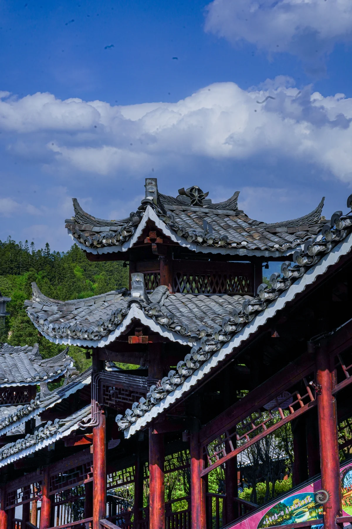 2025多彩贵州·第十八届中国原生态国际摄影大展 · 宜非帆 的图集