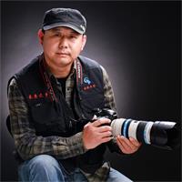 鱼乐界