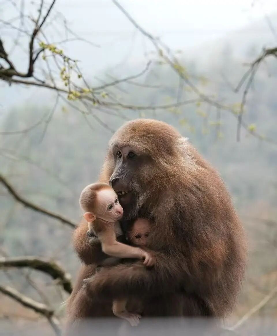 e6fe253e6059ac04024f527165e593c9.jpg